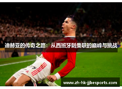 迪赫亚的传奇之路：从西班牙到曼联的巅峰与挑战